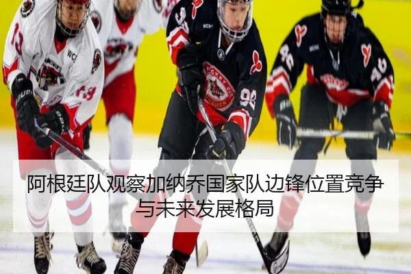 阿根廷队观察加纳乔国家队边锋位置竞争与未来发展格局 | c7c7·app